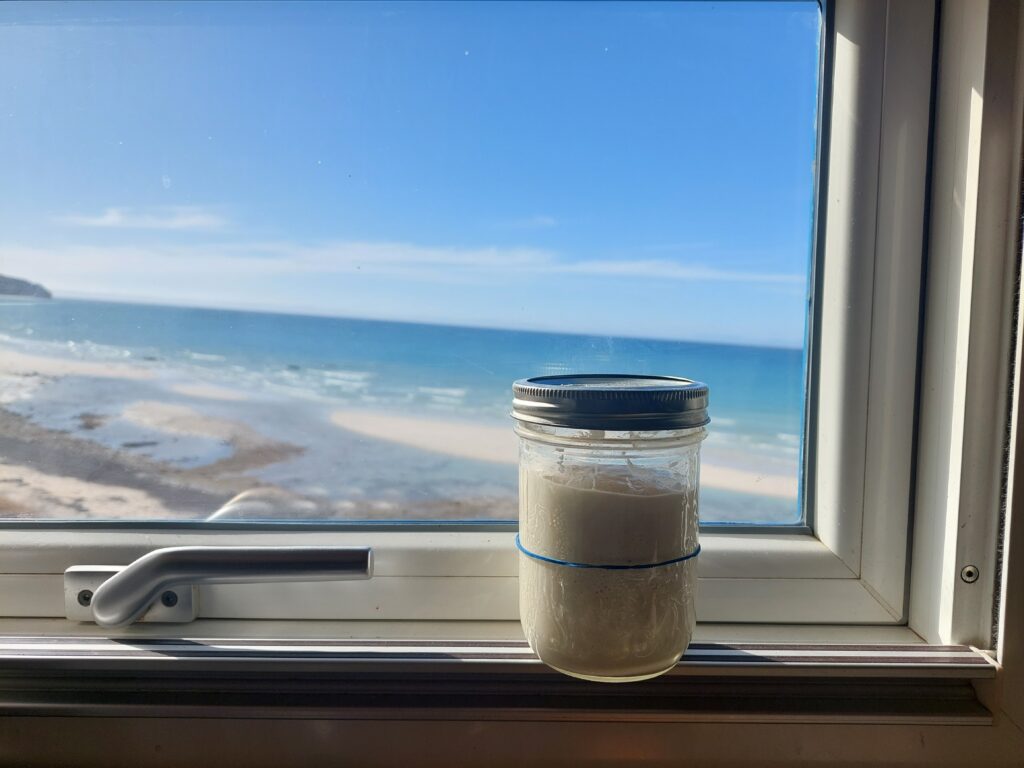 overlanding sourdough starter