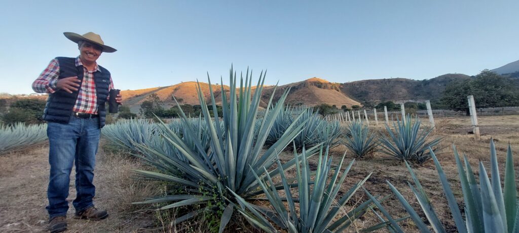 tequila distillery tour